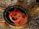 Dogecoin