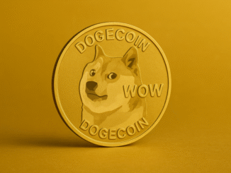 Dogecoin เคลื่อนไหวใกล้แนวรับสำคัญขณะที่ปริมาณการเทรดแห้ง!