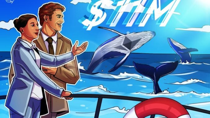 Ethereum Whale Opens $11M Leveraged Bet Amid ETH Price’s 30% Rise Potential