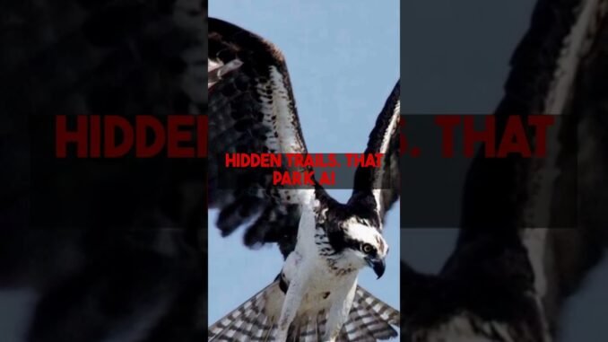 Exploring Carara National Park Using AI Guidance