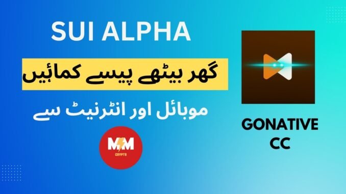 GoNative CC Guide: Native BTC on Sui via IKA Stack | Talteum Daily XP & Hidden Criteria