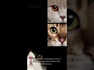 How AI Really Works (Explained Simply for Everyone!) 🤖💡