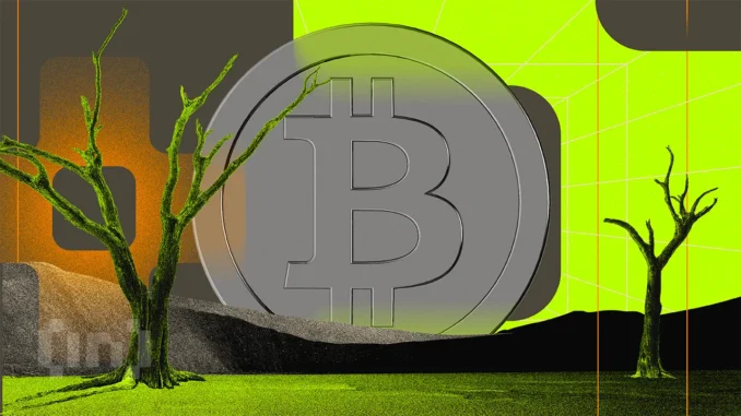 Kenya’s Largest Slum Has Become a Thriving Bitcoin Economy