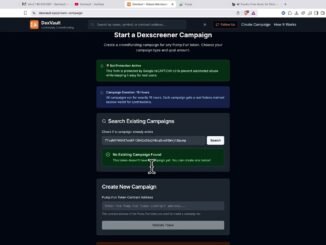 How To Safely Boost Tokens On DexScreener With DexVault