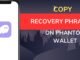 How to Copy Recovery Phrase on Phantom Wallet