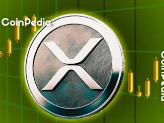 XRP News: Bybit Reports XRP Holdings Double in Just 6 Months