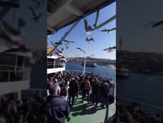 Istanbul son dakika!!#fun#funny#funny#funnyvideos#ai#aivideo#aicontent#coffee#explore#shorts#news