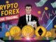 LIVE TRADING FOREX BTC SOL ETH GOLD CRYPTO #beginners