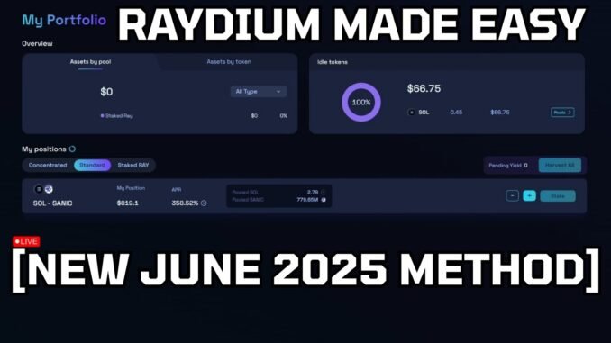 My Method for Profitable Meme Coin Launches on Raydium