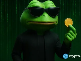 Neo Pepe presale soars as PEPE loses investor favor