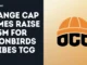Orange Cap Games Raise $3.5M For Moonbirds and Vibes TCG