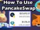 PancakeSwap Script | I’ve Tried Only BTC/SOL and BNB/USDT Pairs