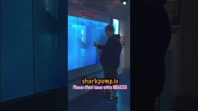 Please don't mess with sharks... #pumpfun #memes #dexscreener #crypto