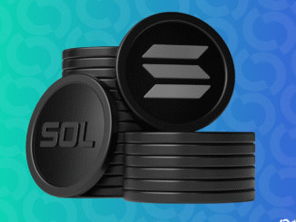 Publicly Traded Edtech's Stock Soars 44% After Solana Treasury Pivot