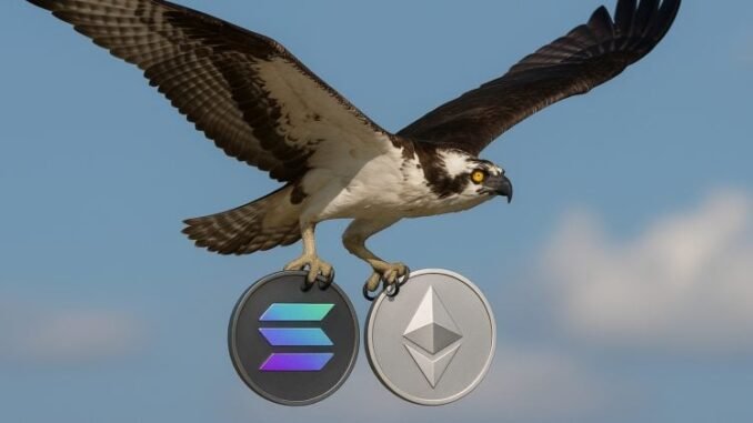 REX-Osprey Ethereum, Solana staked ETFs may launch soon as SEC REX-Osprey Ethereum, Solana staked ETFs may launch soon as SEC raises no objections