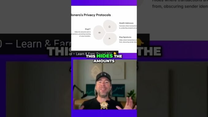 Ring Signatures & CT: Ultimate Crypto Privacy Guide