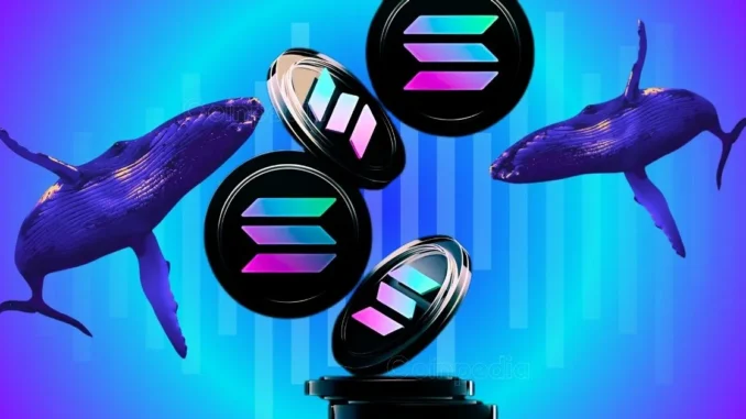 Solana Price Prediction Today