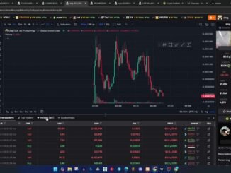 Screening Koin Micin di Dexscreener | 32