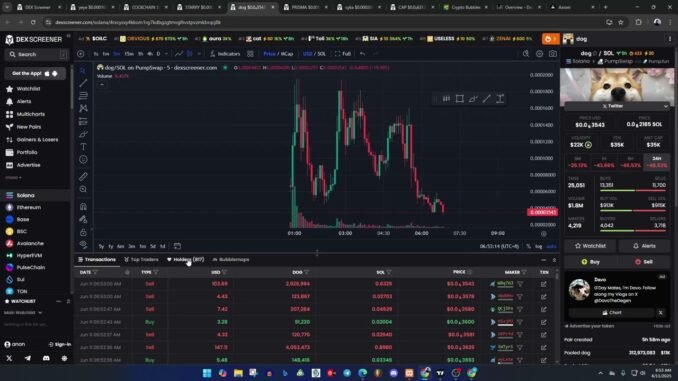 Screening Koin Micin di Dexscreener | 32