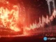 Spark price plunges 60% as sparkle fizzles out