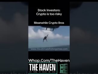 The Dexscreener experience🦈🦈