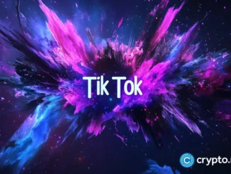 TikTok's uncertain future reveals web2's weaknesses