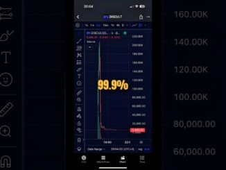 Why Most Meme Coins Go to Zero Fast