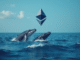 Ethereum Whales Accumulate As Staking Rises