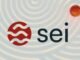 the SEI coin