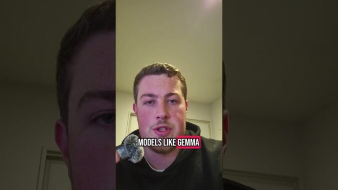 Worried about AI stealing your data? Try Gemma and open source model that can run on your phone.