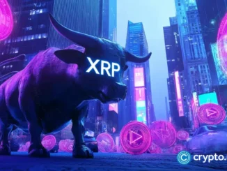 XRP revives bullish faith, Neo Pepe Coin’s massive presale shakes up market