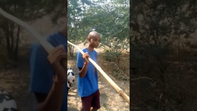 #ai #videos #viralvideo #trending #news