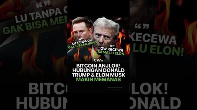 #cryptowave #bitcoin #cryptocurrency #cryptomarket #trump #elonmusk #altcoins #news #crypto