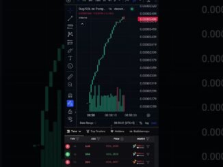 new meme coin dexscreener pumping #dexscreener #phantom