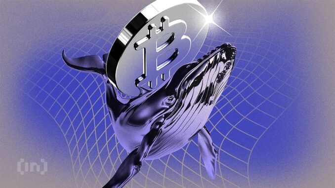 Nearly 30% of All Bitcoins Could Be Ancient by 2035 – Why Does it Matter?