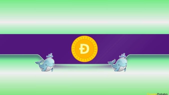 130M DOGE Scooped Up as Price Slides 15% 130M DOGE Scooped Up as Price Slides 15%