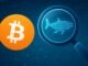 80K Bitcoin Whale Identity Uncovered? MyBitcoin Wallets Linked To Recent Transfer