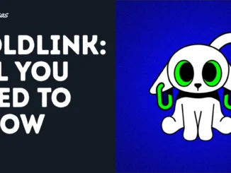 A Complete Guide to Coldlink: Your Trusted Wallet Companion