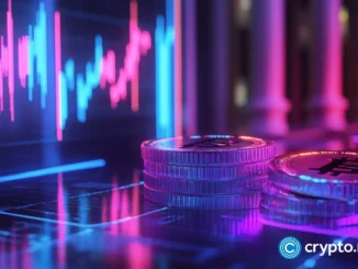 A deep dive into no-KYC crypto exchanges and their uses