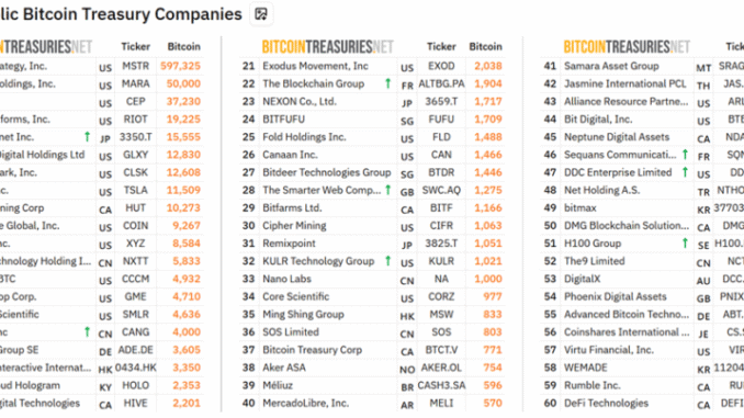 Top Public Bitcoin Treasury Companies