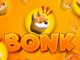 PEPX could outperform BONK in 2025