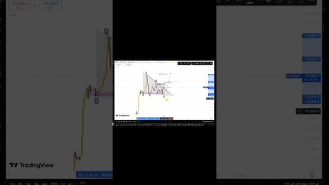 BTC MARKET UPDATE #CRYPTO #news #btc #shorts #shortvideo #shortfeed