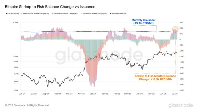 Bitcoin $120,000 All-Time High Imminent as Supply Shock Nears Bitcoin Shrimp To Fish Balance