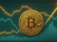 Bitcoin Growth Rate Indicator Signals Bullish Continuation – Analyst