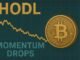 Bitcoin HODL Momentum Drops: Long-Term Conviction Builds