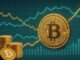 Bitcoin Outflow Ratio Mirrors 2023 Accumulation – Long-Term Bullish Signal?