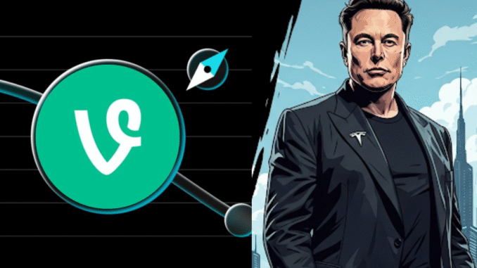 Can VINE cryptocurrency sustain the Elon Musk-initiated bull run