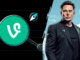 Can VINE cryptocurrency sustain the Elon Musk-initiated bull run