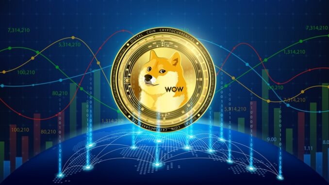 DOGE rally
