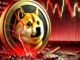 Dogecoin crash